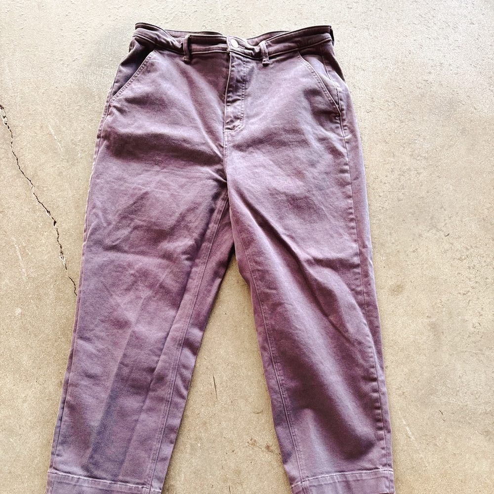 Everlane Straight Leg Crop Chinos